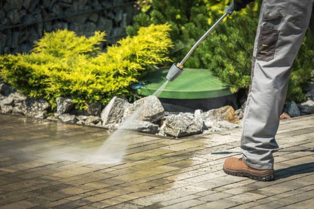 Best Pre-Holiday Cleaning  in Pottsgrove, PA